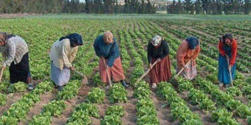 انطلاق تنفيذ مشروع' أحميني' الخاص بالنساء العاملات في الوسط الريفي